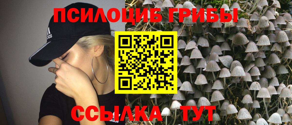 Галлюциногенные грибы Cubensis  Вход с VPN  Галлюциногенные грибы Magic Shrooms  Татарск 